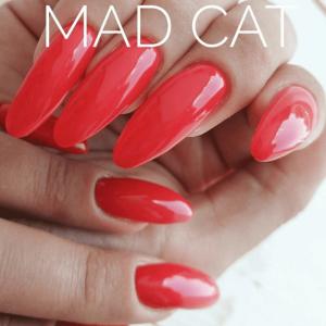 Фотография Mad Cat 2