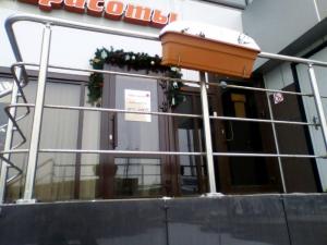 Фотография Астра 0