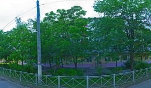 Фотография Роза 0