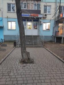 Фотография Николь 0